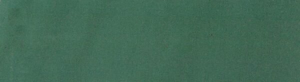 6101 G+系列6125 Solution Dyed polyester fabric