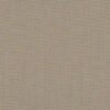 6119 深米色 G+系列6125 Solution Dyed polyester fabric