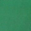 6123浅草绿 G+系列6125 Solution Dyed polyester fabric
