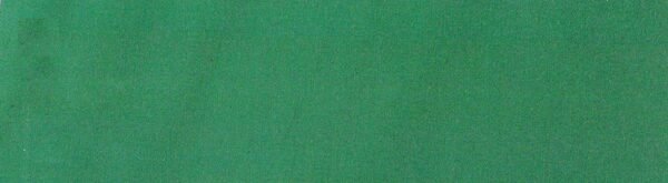 6123浅草绿 G+系列6125 Solution Dyed polyester fabric