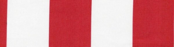 6201 G+系列6125 Solution Dyed polyester fabric