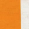 6204 G+系列6125 Solution Dyed polyester fabric