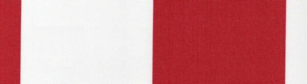 6205 G+系列6125 Solution Dyed polyester fabric