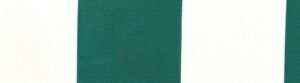 6207 G+系列6207 100%Solution Dyed polyester fabric
