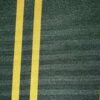6301 G+系列6125 Solution Dyed polyester fabric