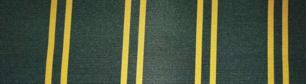 6301 G+系列6125 Solution Dyed polyester fabric