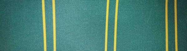 6302 G+系列6125 Solution Dyed polyester fabric