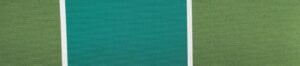 6303 G+系列6303 100%Solution Dyed polyester fabric