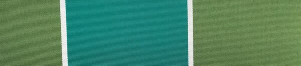 6303 G+系列6125 Solution Dyed polyester fabric