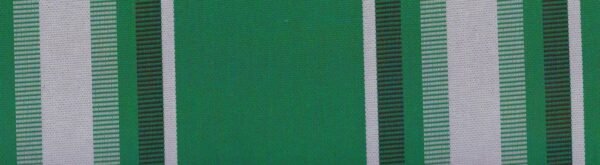 6304 G+系列6125 Solution Dyed polyester fabric