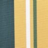 6305 G+系列6125 Solution Dyed polyester fabric