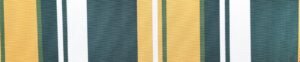 6305 G+系列6305 100%Solution Dyed polyester fabric