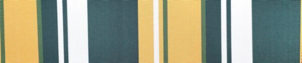 6305 G+系列6125 Solution Dyed polyester fabric