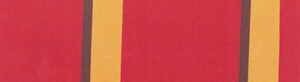 6306 G+系列6125 Solution Dyed polyester fabric