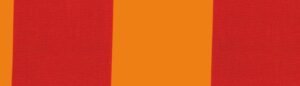 6310 G+系列6310 100%Solution Dyed polyester fabric