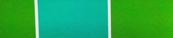 6311 G+系列6125 Solution Dyed polyester fabric